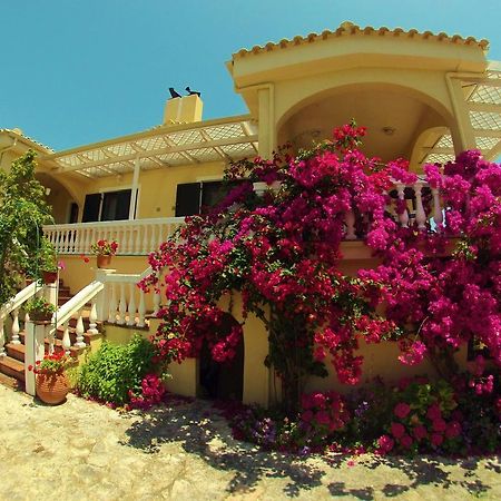 بيرديكا Appartamenti Angelika المظهر الخارجي الصورة